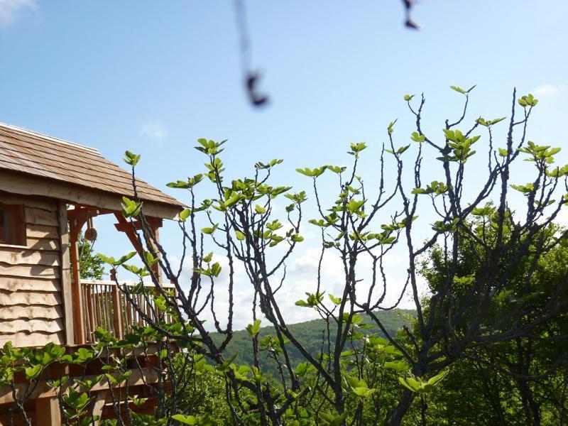 Cabane-Hobbit De Samsaget Bed and Breakfast Eyvignes-et-Eybenes Exterior foto